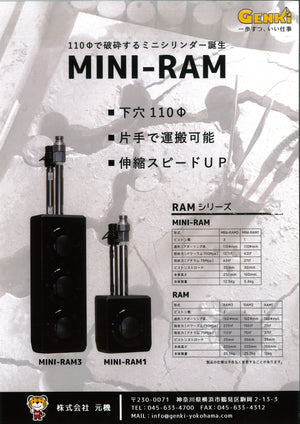 これいいでしょ★MINI-RAM